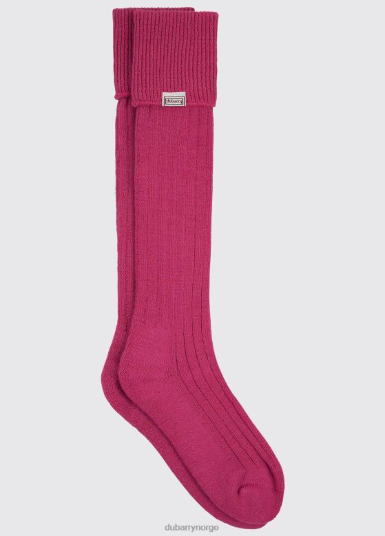 Dubarry kvinner alpakka sokker 8ZDB8379 tilbehør rosa