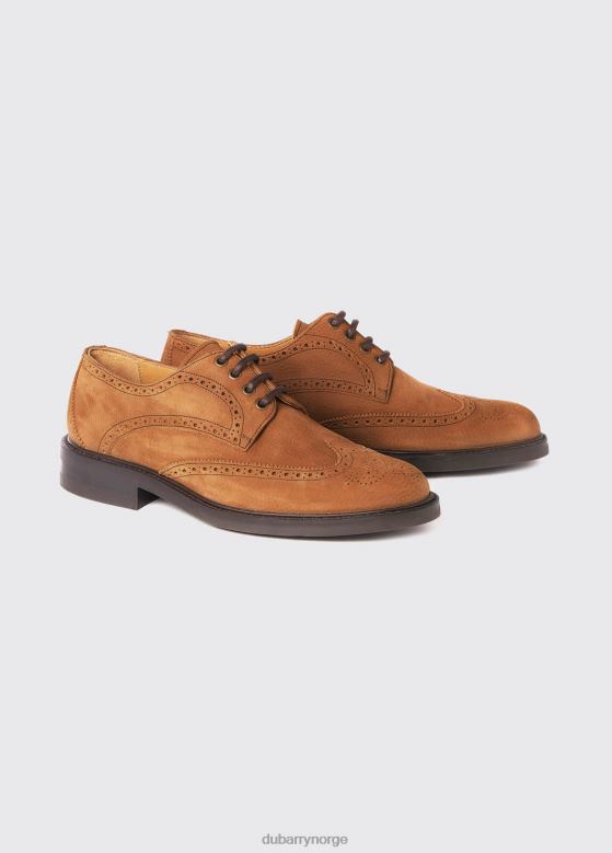 Dubarry menn derry goodyear brogue sko 8ZDB8888 fottøy brun