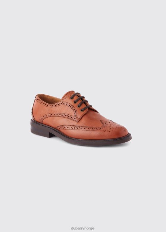 Dubarry menn derry goodyear brogue sko 8ZDB8902 fottøy tan