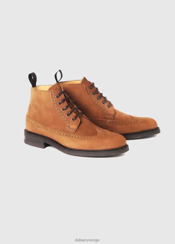 Dubarry menn dun Goodyear brogue støvel 8ZDB8924 fottøy brun