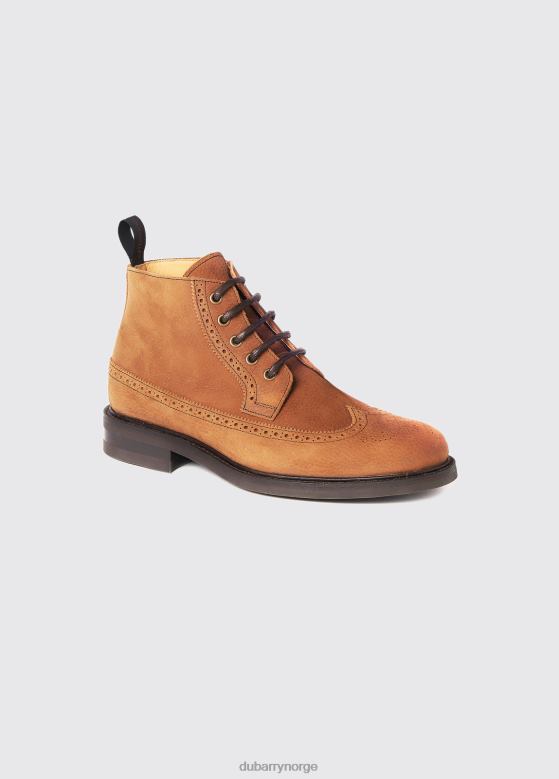 Dubarry menn dun Goodyear brogue støvel 8ZDB8924 fottøy brun