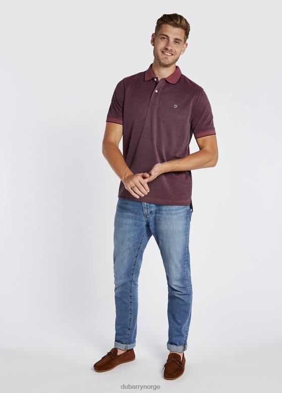 Dubarry menn mullaghmore stripete polo 8ZDB8947 klær rubin